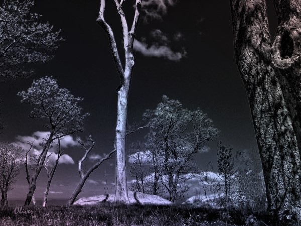 Scraping The Sky