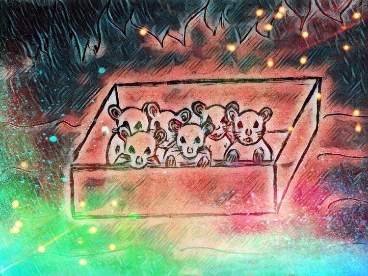 Baby Mice on The River