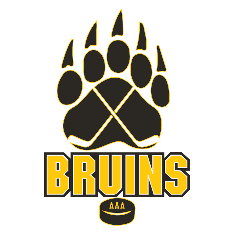 2010 Children's Hockey Team Shirt Design