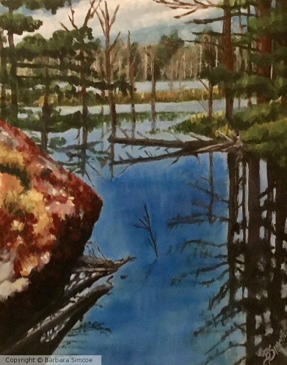 Lake scene from the Adirondacks