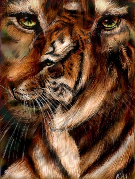 Tigers for Jim