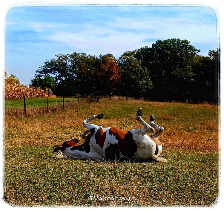 Sunbathing
