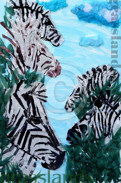 Zebra