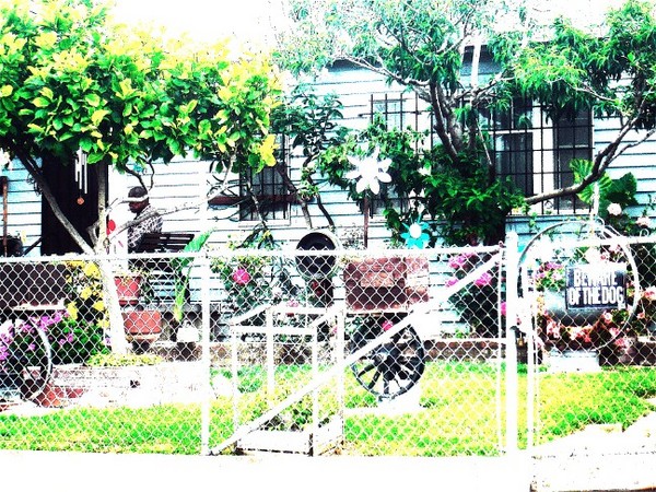 Ghetto Garden