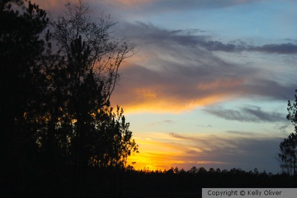 SouthEast Texas December Sunset