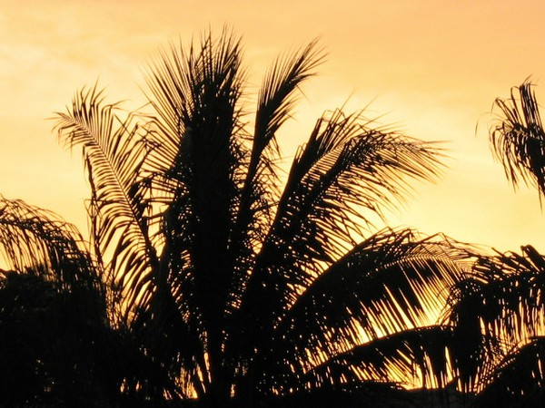 Palms up