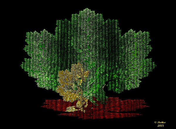 XD  THE  TREE