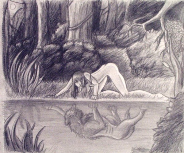 Reflection