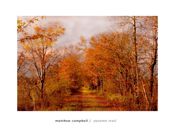 Autumn Trail
