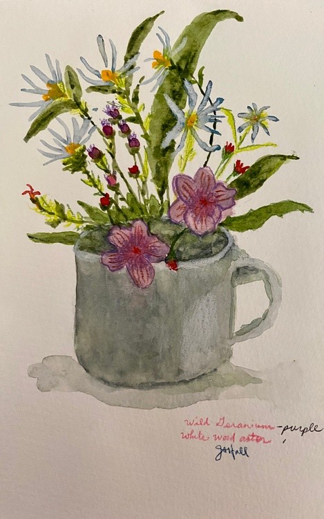 Wildflowers sketchbook watercolor