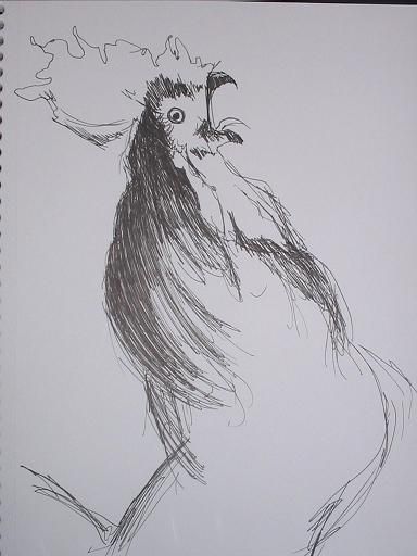 Rooster