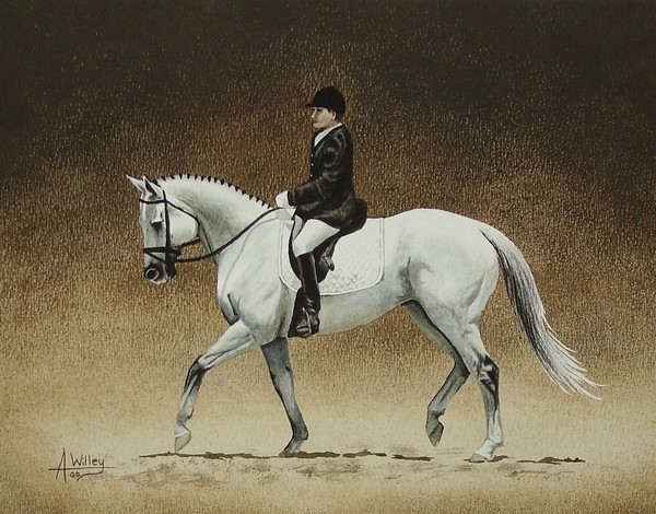 dressage #1