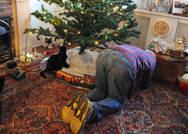 Putting Up the Christmas Tree