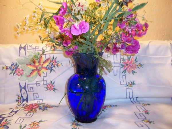 early summer wildflowers