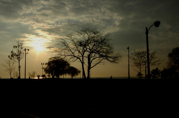 Sunrise Sillouetts ,Chicago