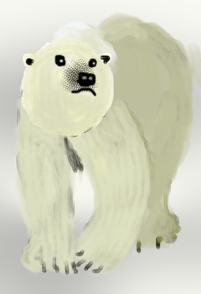 Polar Bear O628
