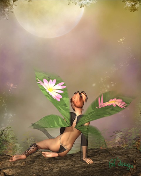 Fairytale Dreams