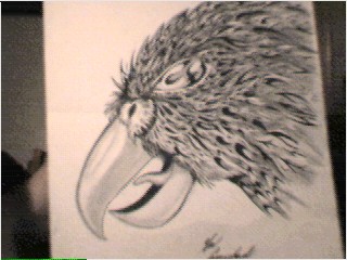 eagle