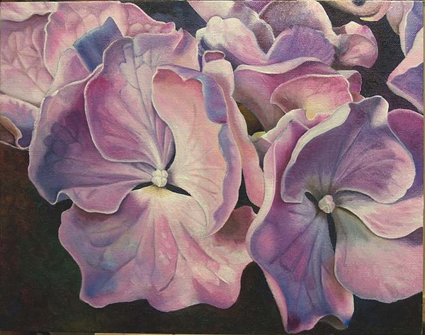 Hydrangea Glow