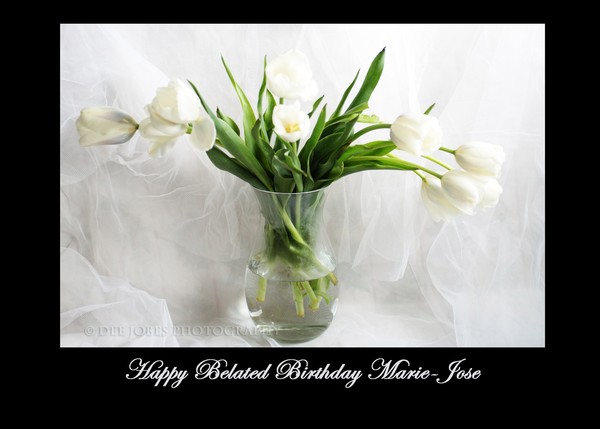 Happy Belated Birthday Marie-Jose