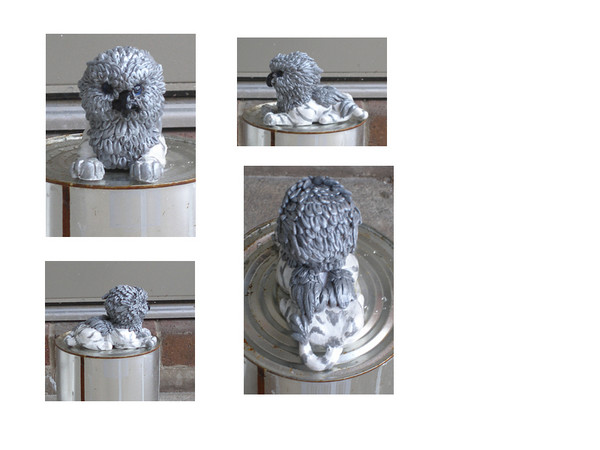 Tiger Gryphon