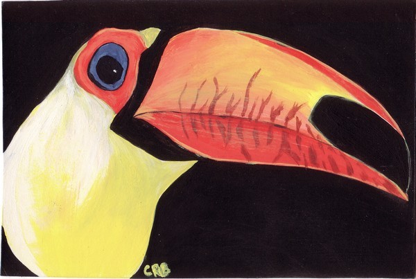 Toucan Time