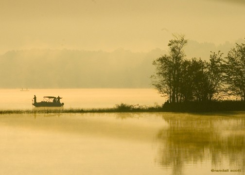 Foggy Eyes on Stoco
