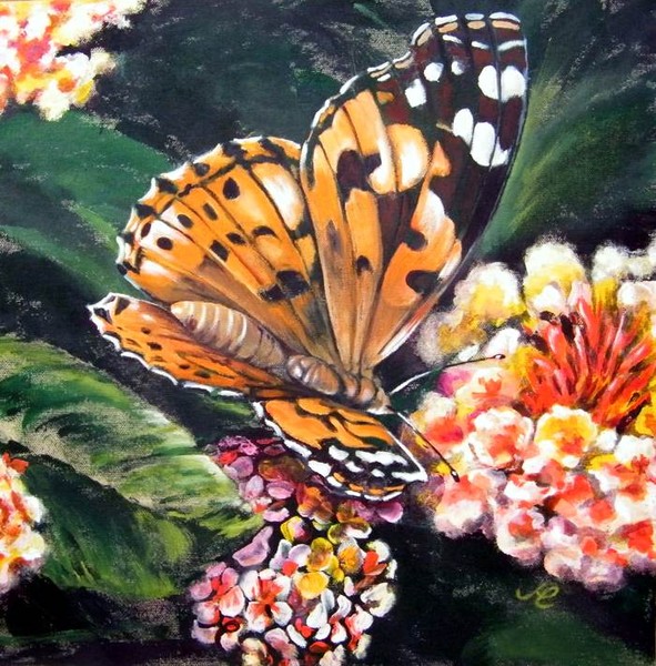 Papillon