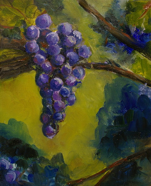 Pinot Noir