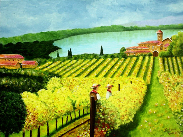 The vineyard