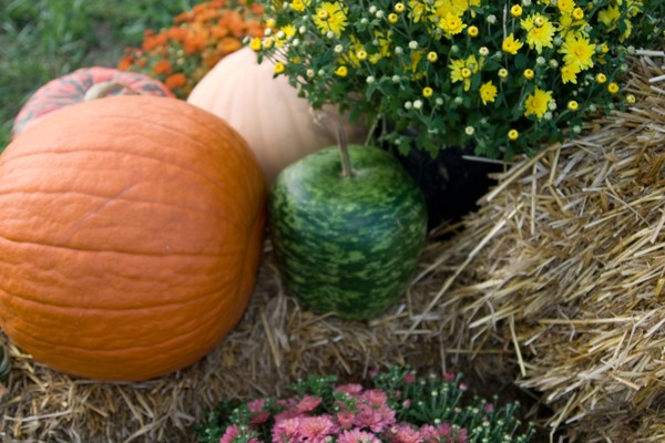 The Colors of October