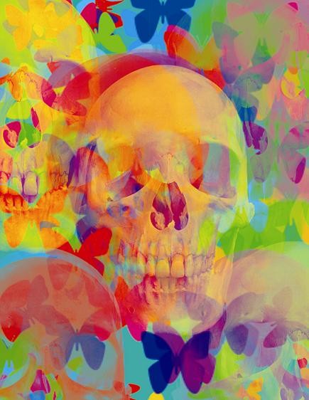 skullerfly