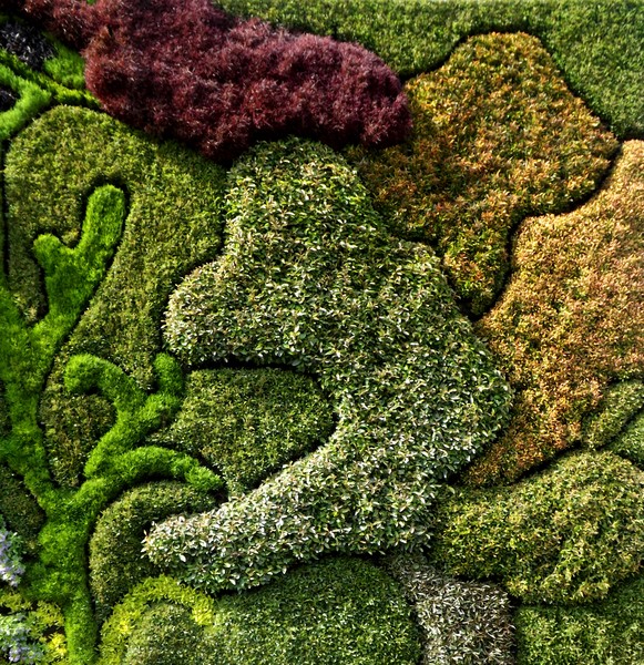 Mural Of Plants (One)