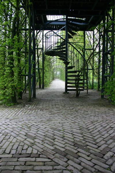 Arbor