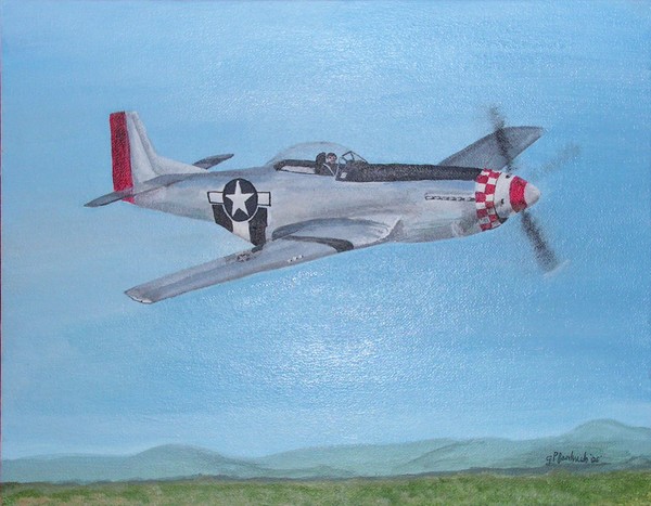 P51 Mustang 