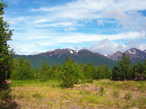 The Edge of Wild