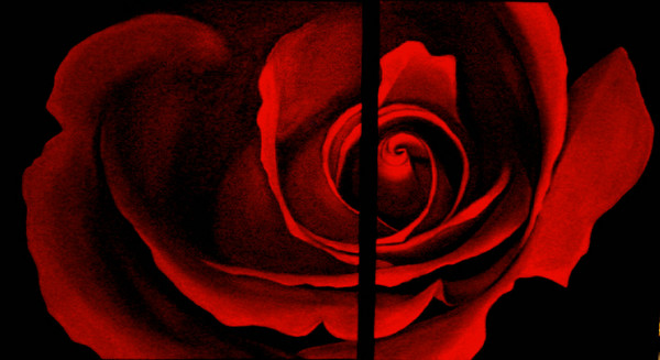 diptych Rose (2)