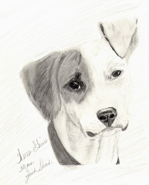 puppy2