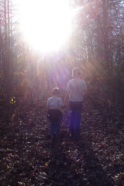 Into the Light