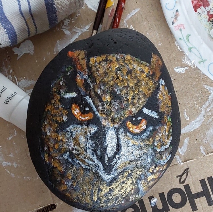 Owl