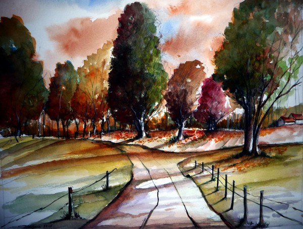 Trees in a parc