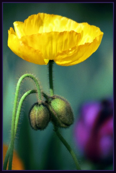 Leaning on you..........