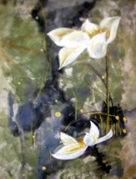 Lotus