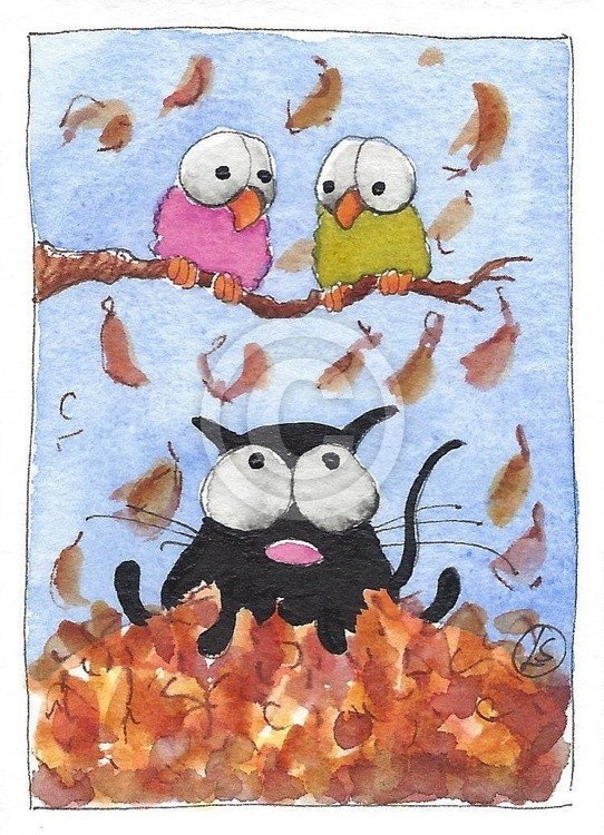 Fall colors