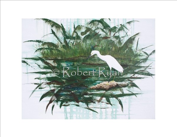 White Egret