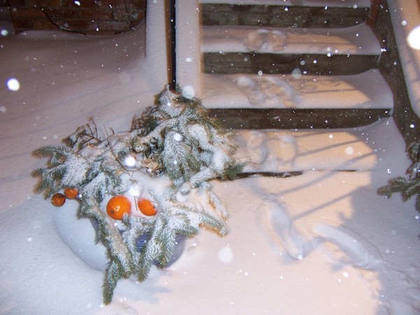 Steps of Christmas
