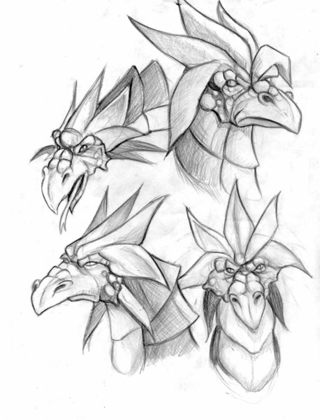 Dragons Sketches