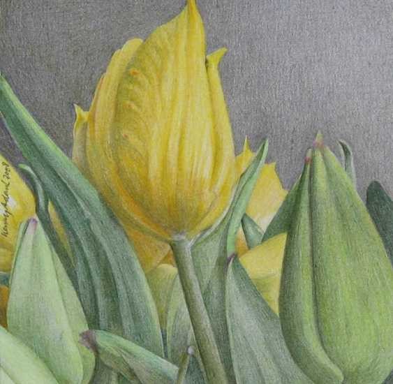 Tulip4/yellow
