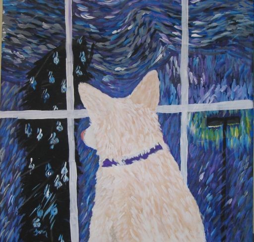 Watching the Storm