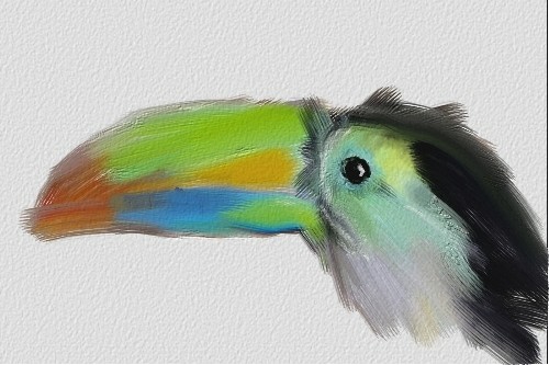 #1/34 Toucan